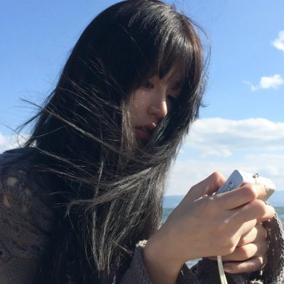 蜘蛛与郁金香